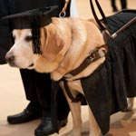 大学で犬の「キルシュちゃん」に名誉修士号を授与