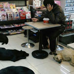台湾のコンビニは「犬の入店OK」ついには犬小屋まで