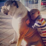 「動物(犬・猫)」と「子供」の仲の良い姿に癒される