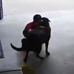 犬が好きすぎる少年の12秒の犯行